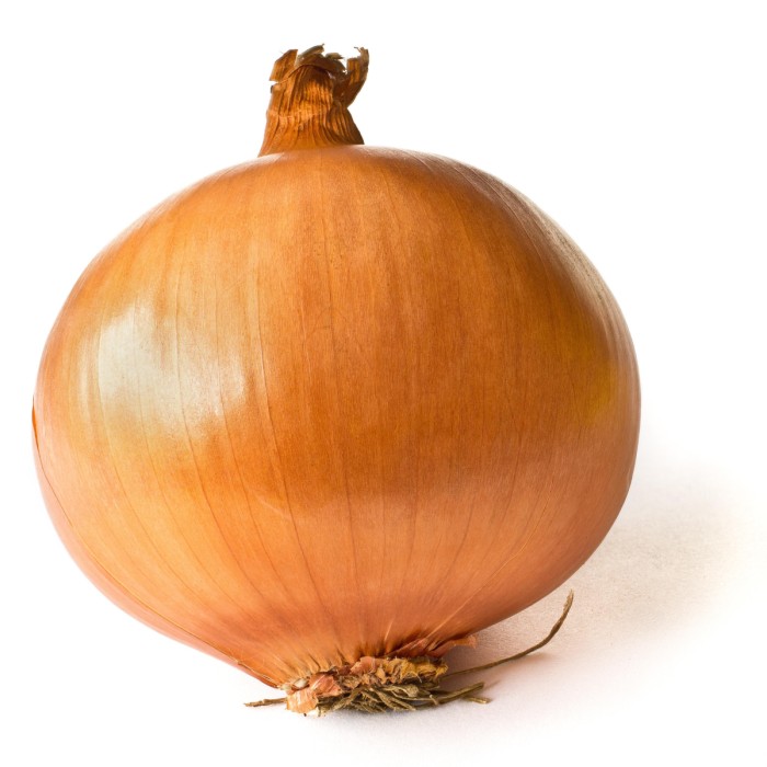Onion Yellow